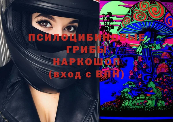 apvp Володарск