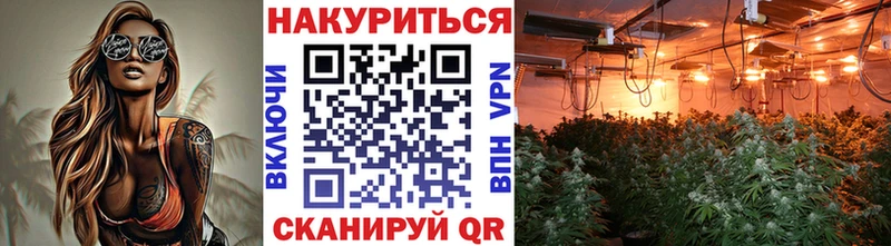 Каннабис OG Kush Заринск